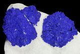 Blue Azurite Sun Cluster on Siltstone - Australia #142777-1